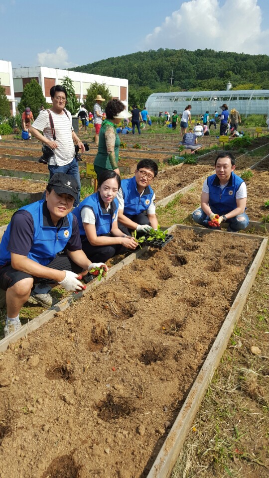 농업체험활동 중인 성곡파출소 직원들 <사진=부천오정경찰서 제공>