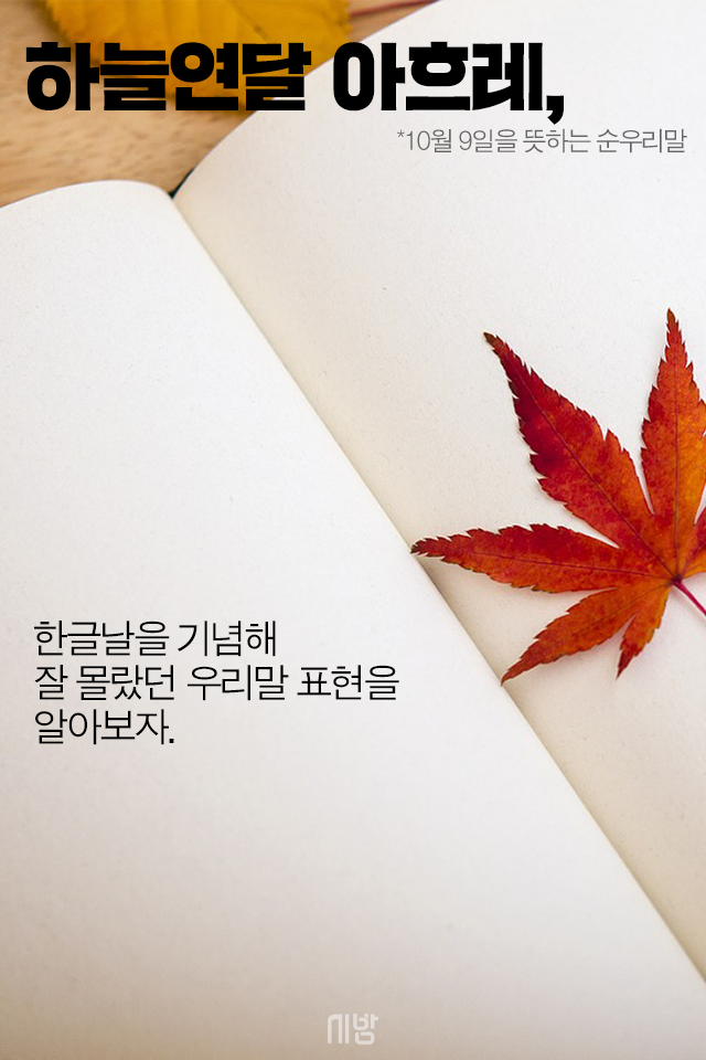 [tbs/시방 카드뉴스] 얄라차, 하늘연달 아흐레, 순우리말 톺아보기 | 서울특별시 미디어재단 TBS