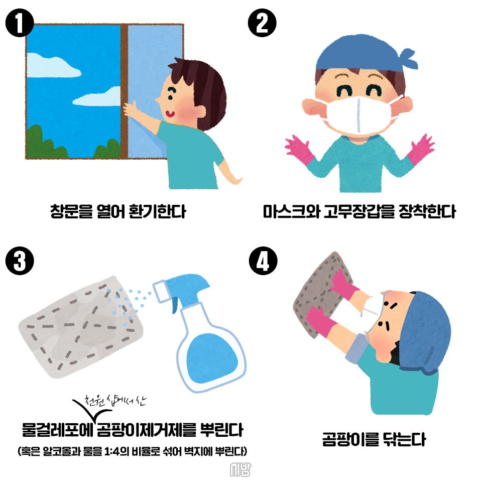 곰팡이 예방법