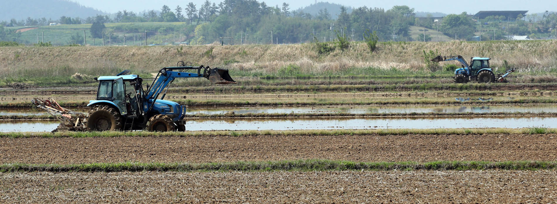 모내기철 <사진=연합>