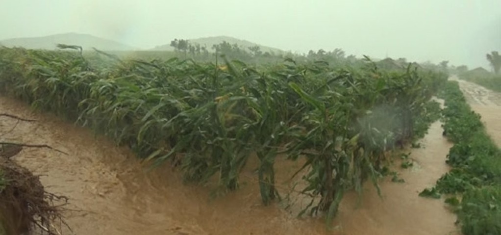 북한, 제13호 태풍 '링링' 피해 발생<사진=연합뉴스>