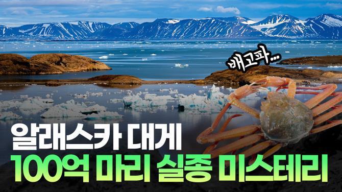리서치 썸네일