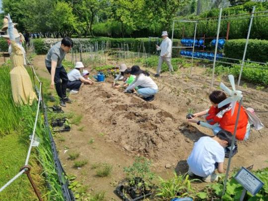 텃밭2 이미지