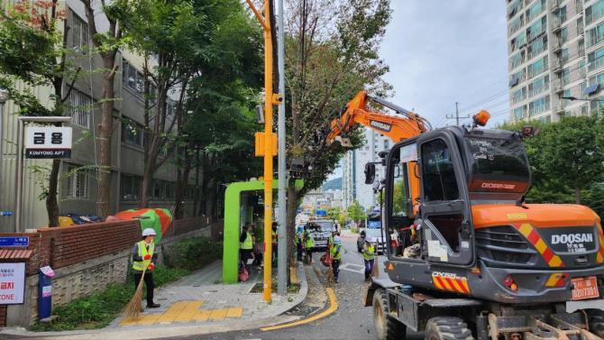 진동수확기를 활용한 은행 열매 채취 모습, 사진=서울시 