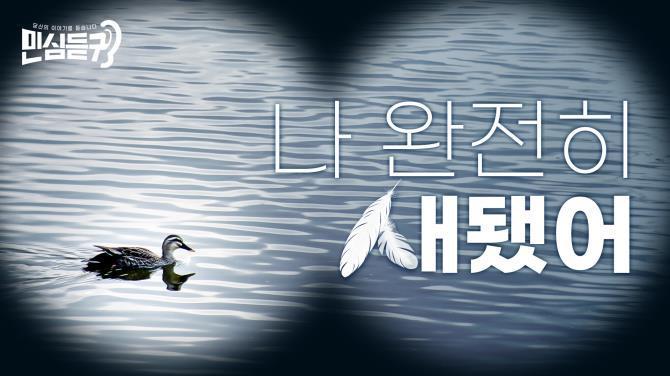 민심듣귀_이럴 거면서 왜 철새보호구역이라 했어요