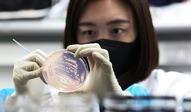 식중독균 배양분리작업<사진=연합뉴스>