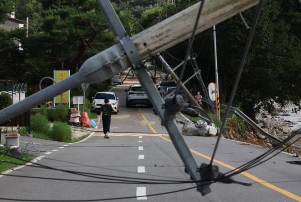 경기 가평 집중호우로 쓰러진 전봇대 <사진=연합뉴스>