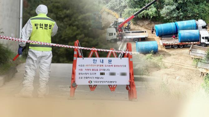 양돈농가 아프리카돼지열병(ASF) 발생(CG) <사진=연합뉴스>