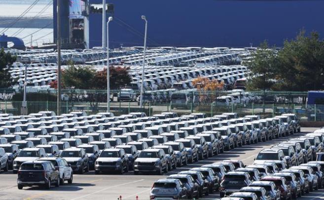 경기도 평택항의 수출용 자동차들 <사진=연합뉴스>