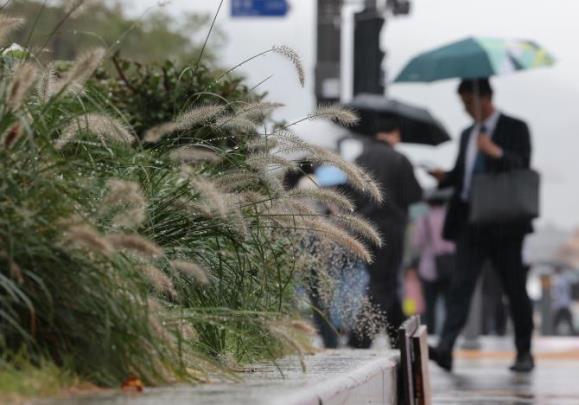 가을비 <사진=연합뉴스>