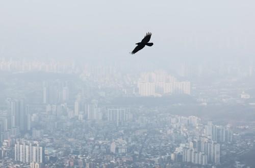 미세먼지로 뿌연 하늘 <사진=연합뉴스>