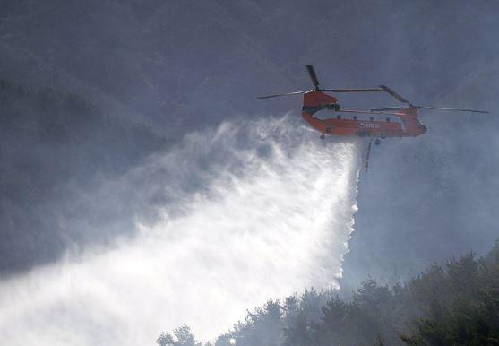 산불 진화 <사진=연합뉴스>