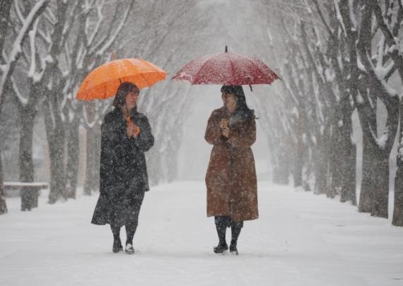 함박눈 <사진=연합뉴스>