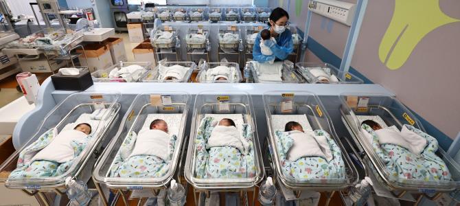 신생아실 <사진=연합뉴스>