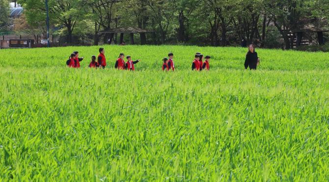 완연한 봄날 <사진=연합뉴스>