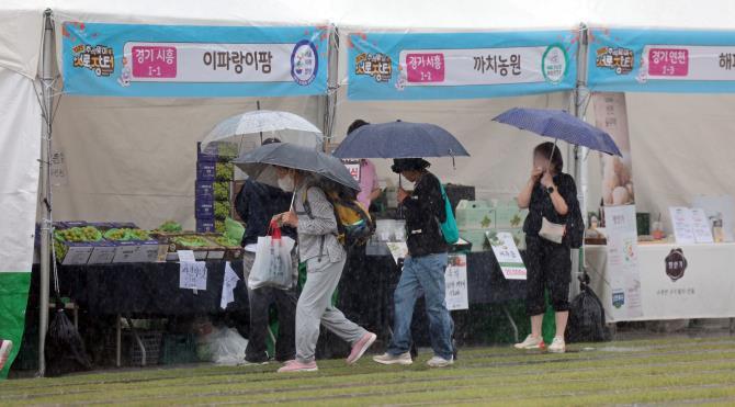 지난해 서울광장서 열린 ''서로장터'' <사진=연합뉴스>