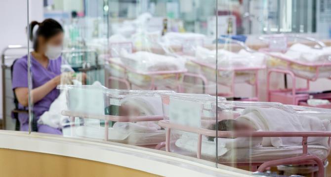 서울 시내 산후조리원 신생아실 <사진=연합뉴스>