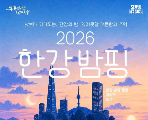 한강밤핑 포스터