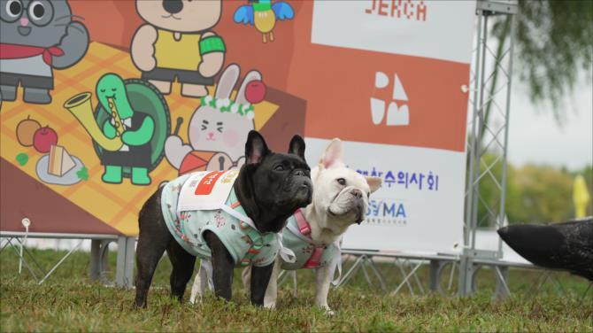 동물행복페스타 <사진=서울시>